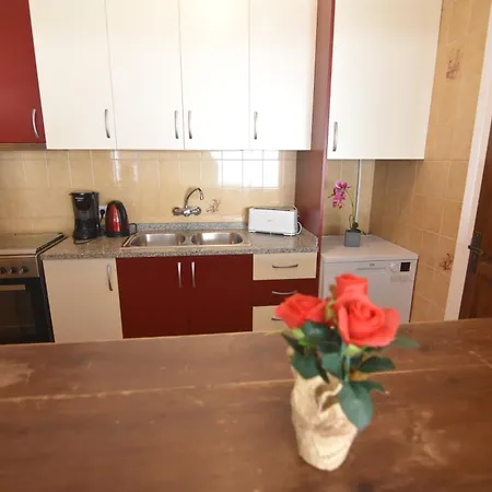 Rnet - Mt Standart Roses